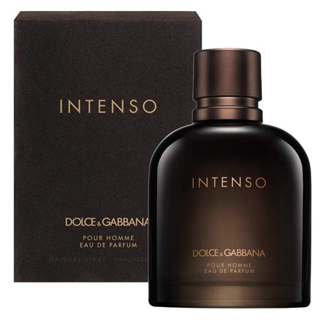 parfum dolce gabbana homme ouedkniss|dolce and gabbana intense.